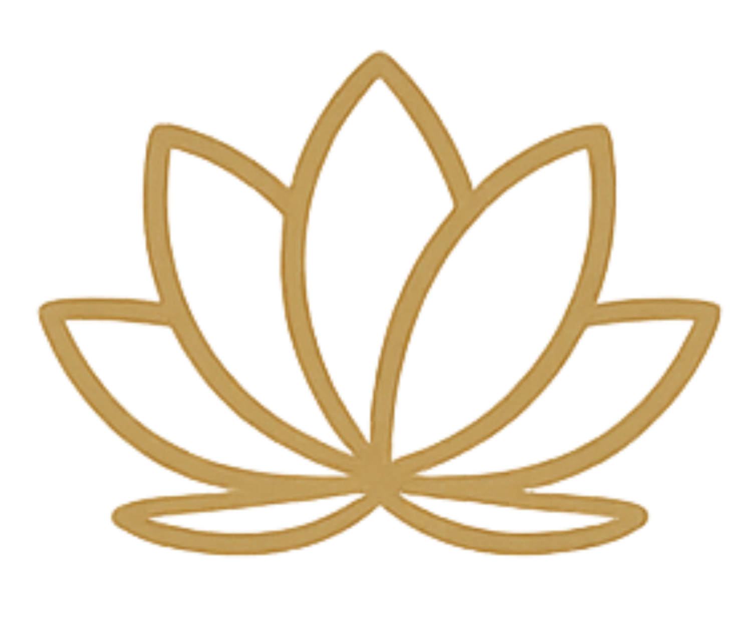 icon_5